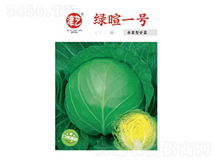 甘藍(lán)種子-綠暄一號-邯豐農(nóng)業(yè)