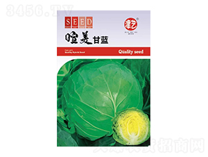 甘藍(lán)種子-喧美甘藍(lán)-邯豐農(nóng)業(yè)