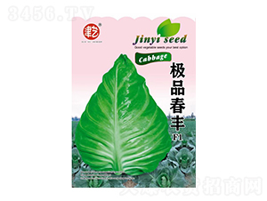 甘藍(lán)種子-春豐-邯豐農(nóng)業(yè)