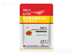 ݮԲĲCϽQ--֮-r(nng)I(y)