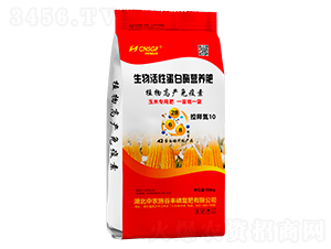 ԵøIB(yng)ʣጵ10-r(nng)ʩS