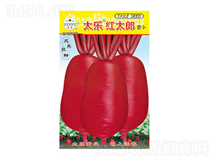 }N-̫(l)t̫-̫(l)NI(y)