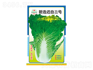 ײ˷N-xt׶̖-̫NI(y)