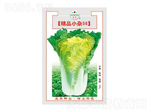 ײ˷N-ƷСs56-̫NI(y)