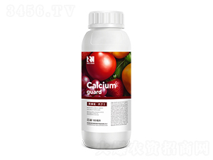 ЙC(j)ҺwǴ}-}l(wi)ʿ-PِZ