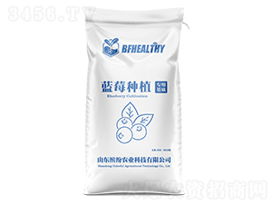 {ݮ|(zh)-_r(nng)I(y)