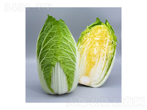 ײ˷N-ײ15̖-A孷NI(y)