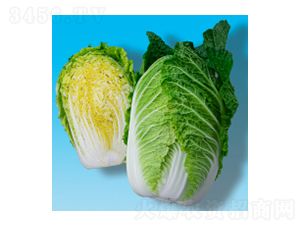 ײ˷N-S321-A孷NI(y)