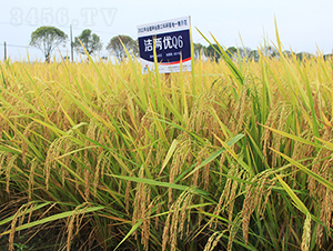 Ƀ(yu)Q6-ˮN-𽡷NI(y)