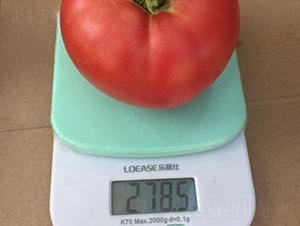 ߿5̖(ho)-ѷN-SNI(y)