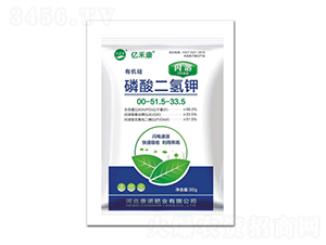 W0-52-34-|̿-ZʘI(y)