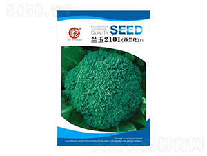 mN-{2101-Sr(nng)I(y)