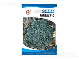 mN-G{3̖-Sr(nng)I(y)