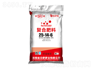 (f)Ϸ25-14-6--зʷʘI(y)