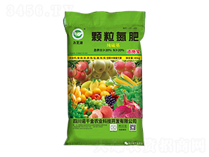 (jng)(j)(zhun)w-֥Դ-Zǧr(nng)I(y)