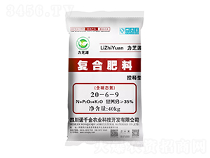 ͏(f)Ϸ20-6-9-֥Դ-Zǧr(nng)I(y)